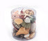 beach mix seashell pack